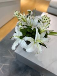 -HEYAN长风荷妍专业脱毛美肤
