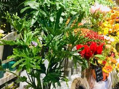 -弗劳尔花艺坊(龙涛店)