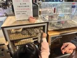 -酷嗒动物文化乐园(cutezoo西溪乐天城店)