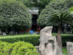 -四川大学(华西校区)