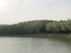 -昆山城市生态森林公园