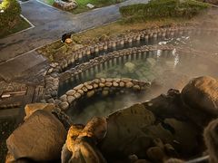 -龙佳生态温泉山庄