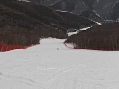 -密苑云顶乐园(云顶滑雪场)