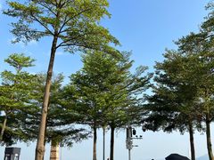 -深圳湾公园(南山区)