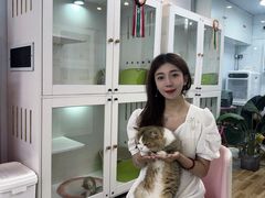 -青奢宠物·青奢猫舍