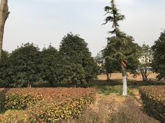 -南京信息职业技术学院