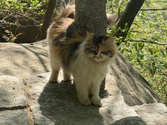 -天津盘山风景名胜区