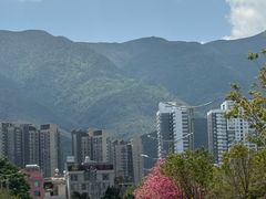 -山河屯铁锅炖(哈西站店)