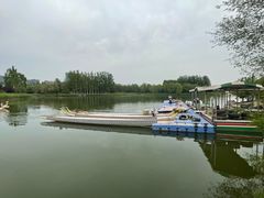 -大兴滨河森林公园