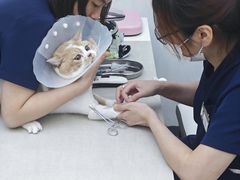 -拜鲁耶动物诊疗中心·宠家动物医院