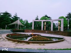-紫薇公园