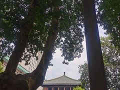 -南京钟山宾馆(江苏省会议中心)
