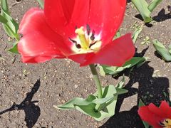 -长春公园(普阳街道)