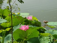 -上海怡沁园度假酒店