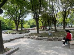 -溱湖国家湿地公园