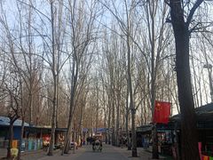-廊坊市自然公园