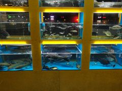 -淳安二十八道·美食汇·淳鱼馆(阳光路店)