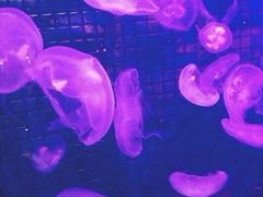 iphone_upload_pic-官也街澳门火锅(新源里店)