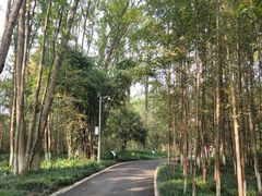 -桤木河湿地公园