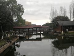 -河泥荡文化公园