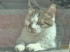 -红小满休闲餐厅(十全街店)