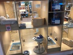 -屋虎猫馆(宝安大仟里店)