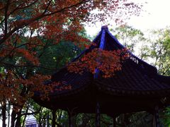 -上海醉白池公园