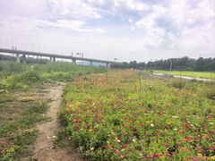 -门城湖公园