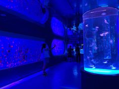 -左海海底世界