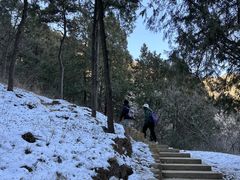 -北京西山国家森林公园