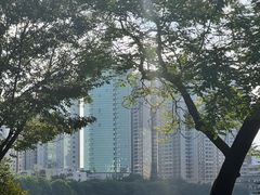-南宁南湖公园