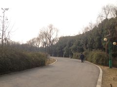 -蜀冈西峰生态公园