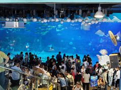 -烟台海昌鲸鲨海洋公园