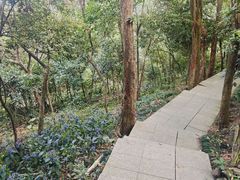 -小南山公园