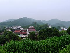 -龙井村