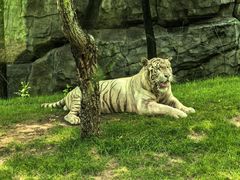 -北京野生动物园