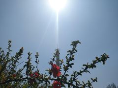 -济南国际园博园