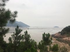 -北岐滩涂