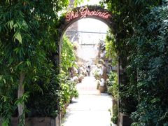 -The Grounds of Alexandria