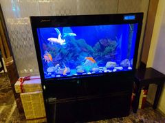 -宜昌富力皇冠假日酒店·咖啡1号西餐厅