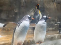 -香港海洋公园