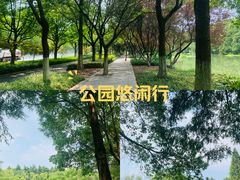 -昆山城市生态森林公园