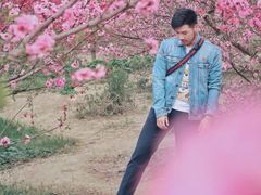 -秀丽东方