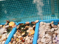 -曼格活海鲜·牛排自助(光明蓝鲸店)