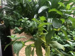 -新廊桥(原科华廊桥店)