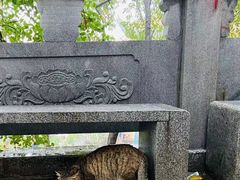 -宝通禅寺