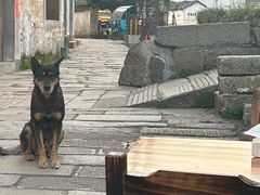 -环秀楼(黄山呈坎店)