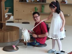 -飞行喵MR PILOT|猫舍·猫咖(静安大融城店)
