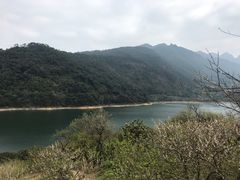 -广州市流溪河国家森林公园