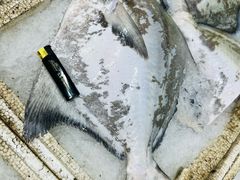 -龙宫海鲜楼(长乐漳港店)